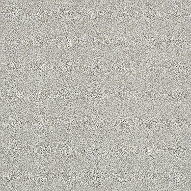 Just A Hint Ii Residential Carpet by Shaw Floors in the color Dew. Sample of beiges carpet pattern and texture.