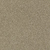 Just A Hint Ii Residential Carpet by Shaw Floors in the color Gold Rush. Sample of golds carpet pattern and texture.