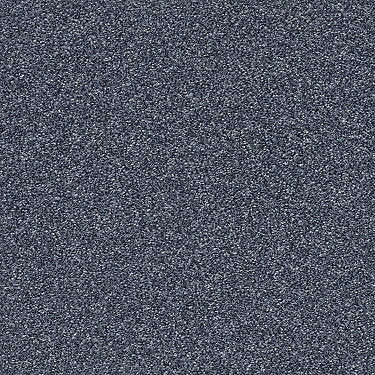 Just A Hint Ii Residential Carpet by Shaw Floors in the color Indigo. Sample of blues carpet pattern and texture.