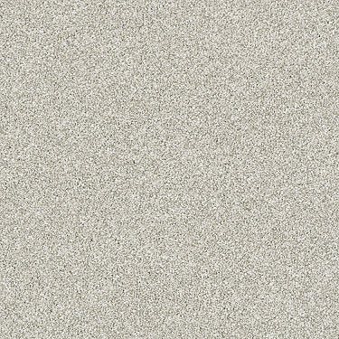 Just A Hint Ii Residential Carpet by Shaw Floors in the color Platinum. Sample of grays carpet pattern and texture.