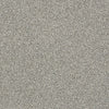 Just A Hint Ii Residential Carpet by Shaw Floors in the color Sterling. Sample of grays carpet pattern and texture.