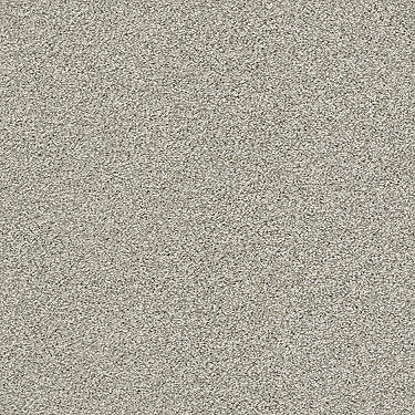 Just A Hint Ii Residential Carpet by Shaw Floors in the color Flax. Sample of grays carpet pattern and texture.