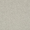 Just A Hint Ii Residential Carpet by Shaw Floors in the color Fog. Sample of grays carpet pattern and texture.