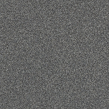 Just A Hint Ii Residential Carpet by Shaw Floors in the color Steel. Sample of grays carpet pattern and texture.