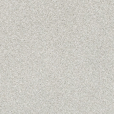 Just A Hint Ii Residential Carpet by Shaw Floors in the color Nickel. Sample of grays carpet pattern and texture.