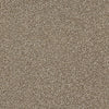 Just A Hint Ii Residential Carpet by Shaw Floors in the color Bronze. Sample of oranges carpet pattern and texture.