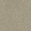 Just A Hint Ii Residential Carpet by Shaw Floors in the color Khaki. Sample of browns carpet pattern and texture.