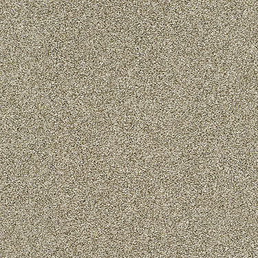 Just A Hint Ii Residential Carpet by Shaw Floors in the color Khaki. Sample of browns carpet pattern and texture.