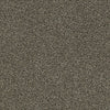 Just A Hint Ii Residential Carpet by Shaw Floors in the color Mink. Sample of browns carpet pattern and texture.