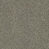 Just A Hint Ii Residential Carpet by Shaw Floors in the color Dreamy Taupe. Sample of browns carpet pattern and texture.