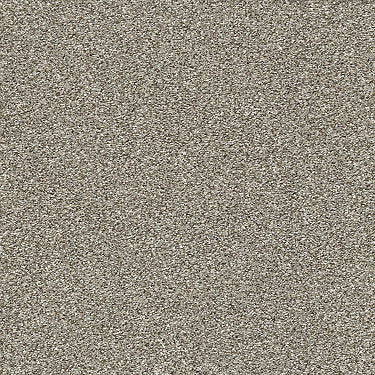 Points Of Color Ii Residential Carpet by Shaw Floors in the color Oatmeal. Sample of beiges carpet pattern and texture.