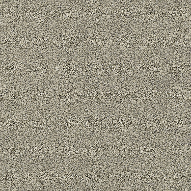 Points Of Color Ii Residential Carpet by Shaw Floors in the color Linen. Sample of beiges carpet pattern and texture.