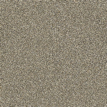 Points Of Color Ii Residential Carpet by Shaw Floors in the color Gold Rush. Sample of golds carpet pattern and texture.