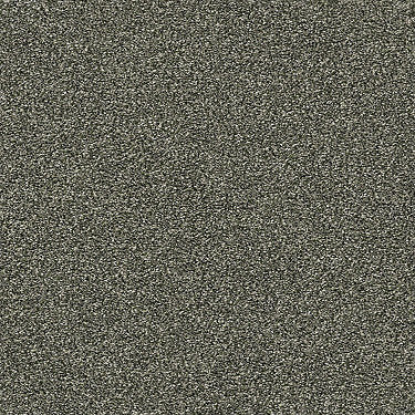 Points Of Color Ii Residential Carpet by Shaw Floors in the color Lush. Sample of greens carpet pattern and texture.