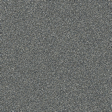 Points Of Color Ii Residential Carpet by Shaw Floors in the color Slate. Sample of blues carpet pattern and texture.