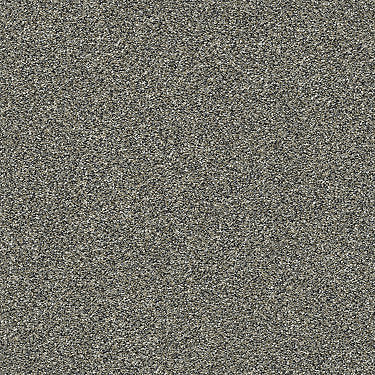 Points Of Color Ii Residential Carpet by Shaw Floors in the color Fog. Sample of grays carpet pattern and texture.