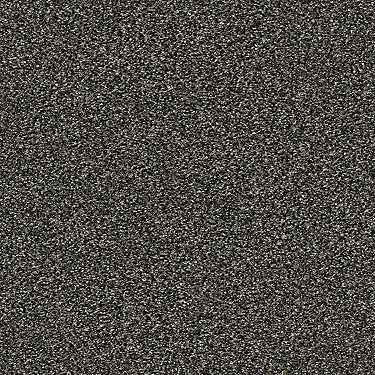 Points Of Color Ii Residential Carpet by Shaw Floors in the color Shadow. Sample of grays carpet pattern and texture.