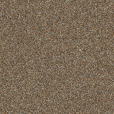 Points Of Color Ii Residential Carpet by Shaw Floors in the color Bronze. Sample of oranges carpet pattern and texture.