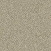 Points Of Color Ii Residential Carpet by Shaw Floors in the color Khaki. Sample of browns carpet pattern and texture.