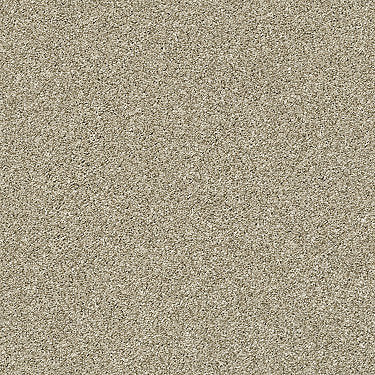 Points Of Color Ii Residential Carpet by Shaw Floors in the color Khaki. Sample of browns carpet pattern and texture.