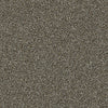 Points Of Color Ii Residential Carpet by Shaw Floors in the color Mahogany. Sample of browns carpet pattern and texture.