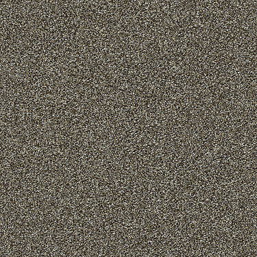 Points Of Color Ii Residential Carpet by Shaw Floors in the color Mahogany. Sample of browns carpet pattern and texture.