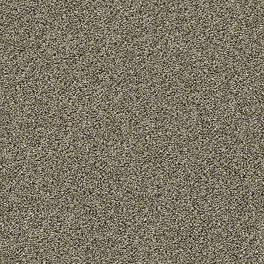 Points Of Color Ii Residential Carpet by Shaw Floors in the color Leather. Sample of browns carpet pattern and texture.