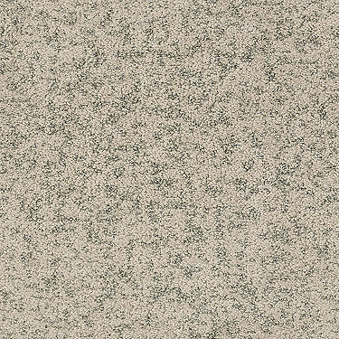 Make Your Mark Residential Carpet by Shaw Floors in the color Toast. Sample of beiges carpet pattern and texture.