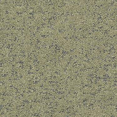 Make Your Mark Residential Carpet by Shaw Floors in the color Chameleon. Sample of greens carpet pattern and texture.