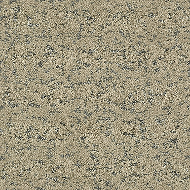 Make Your Mark Residential Carpet by Shaw Floors in the color Khaki. Sample of browns carpet pattern and texture.