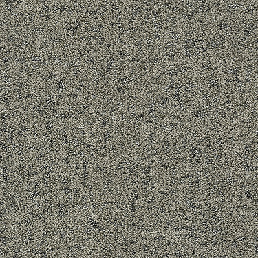 Make Your Mark Residential Carpet by Shaw Floors in the color Dreamy Taupe. Sample of browns carpet pattern and texture.