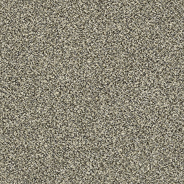 Perpetual I Residential Carpet by Shaw Floors in the color Eggshell. Sample of beiges carpet pattern and texture.