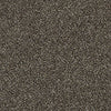 Perpetual I Residential Carpet by Shaw Floors in the color Oatmeal. Sample of beiges carpet pattern and texture.