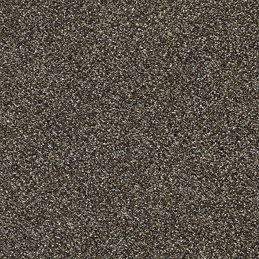 Perpetual I Residential Carpet by Shaw Floors in the color Oatmeal. Sample of beiges carpet pattern and texture.