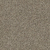 Perpetual I Residential Carpet by Shaw Floors in the color Freckles. Sample of beiges carpet pattern and texture.