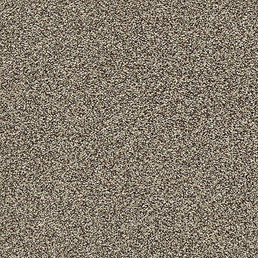 Perpetual I Residential Carpet by Shaw Floors in the color Freckles. Sample of beiges carpet pattern and texture.