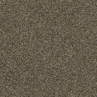 Perpetual I Residential Carpet by Shaw Floors in the color Gold Rush. Sample of golds carpet pattern and texture.