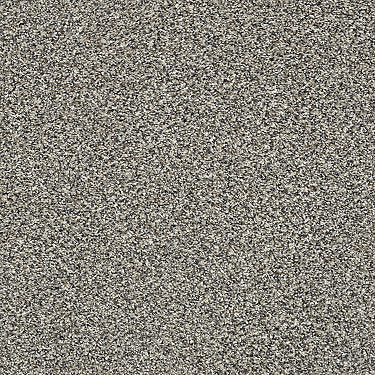 Perpetual I Residential Carpet by Shaw Floors in the color Fog. Sample of grays carpet pattern and texture.