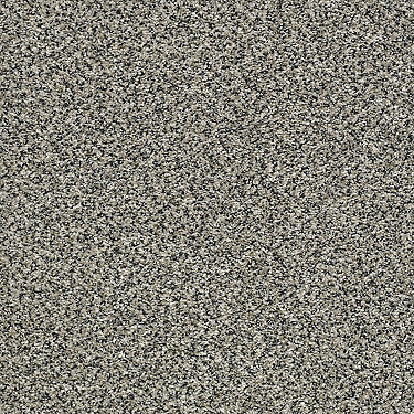 Perpetual I Residential Carpet by Shaw Floors in the color Shadow. Sample of grays carpet pattern and texture.