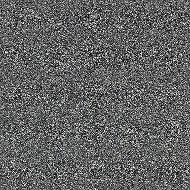 Perpetual I Residential Carpet by Shaw Floors in the color Steel. Sample of grays carpet pattern and texture.