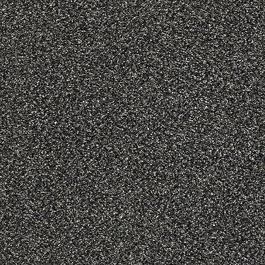 Perpetual I Residential Carpet by Shaw Floors in the color Truffle. Sample of grays carpet pattern and texture.