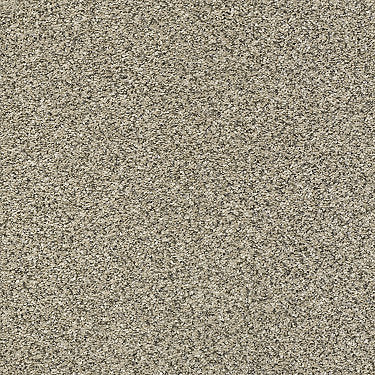 Perpetual I Residential Carpet by Shaw Floors in the color Khaki. Sample of browns carpet pattern and texture.