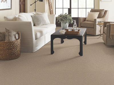 Perpetual I Residential Carpet by Shaw Floors in the color Khaki. Image of browns carpet in a room.