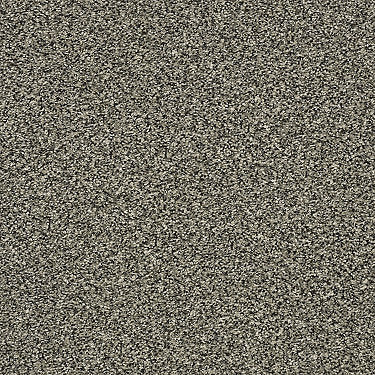 Perpetual I Residential Carpet by Shaw Floors in the color Portobello. Sample of browns carpet pattern and texture.