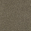 Perpetual I Residential Carpet by Shaw Floors in the color Leather. Sample of browns carpet pattern and texture.