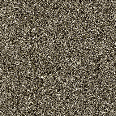 Perpetual I Residential Carpet by Shaw Floors in the color Leather. Sample of browns carpet pattern and texture.