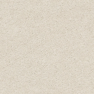 Keen Senses Ii Residential Carpet by Shaw Floors in the color Alabaster. Sample of beiges carpet pattern and texture.