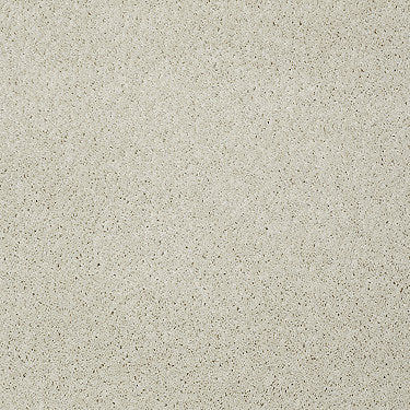 Keen Senses Ii Residential Carpet by Shaw Floors in the color Ivory Paper. Sample of beiges carpet pattern and texture.