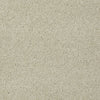 Keen Senses Ii Residential Carpet by Shaw Floors in the color Treasure. Sample of beiges carpet pattern and texture.