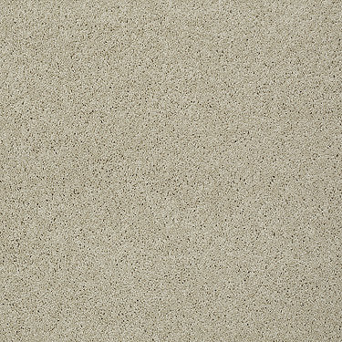Keen Senses Ii Residential Carpet by Shaw Floors in the color Shoreline. Sample of beiges carpet pattern and texture.
